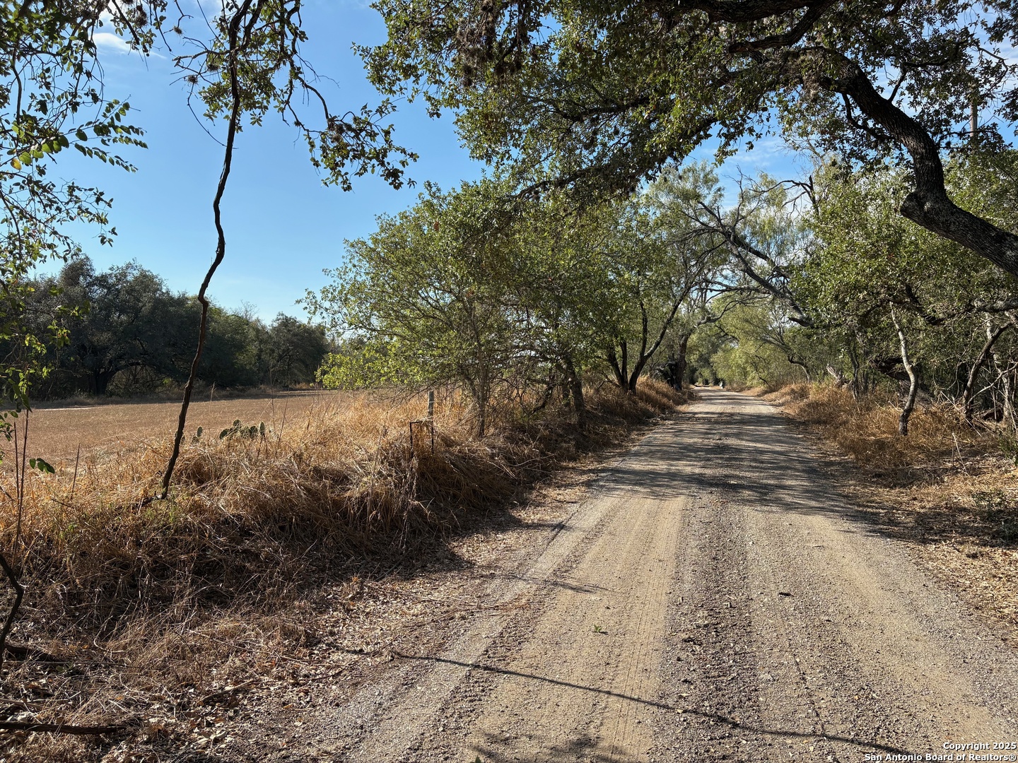 10.36 Acres New Sulphur Springs Road San Antonio TX 78263