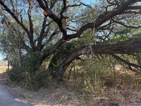 10.36 Acres New Sulphur Springs Road San Antonio TX 78263