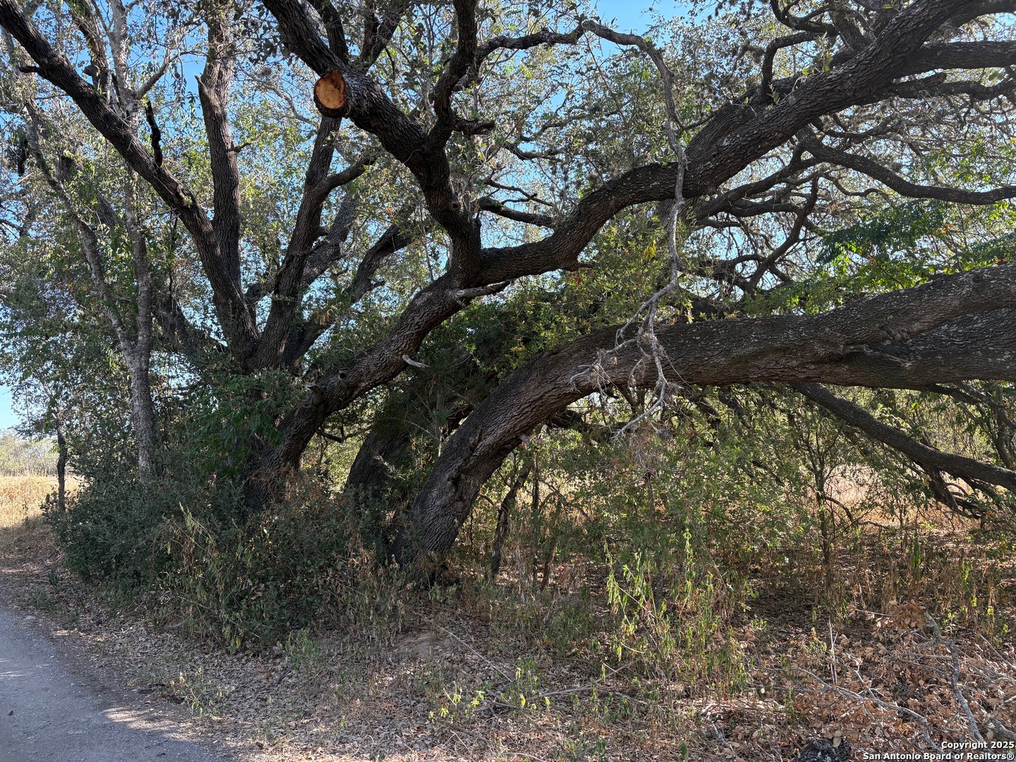 10.36 Acres New Sulphur Springs Road San Antonio TX 78263