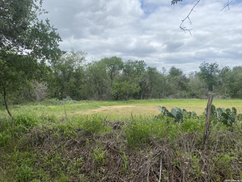10.36 Acres New Sulphur Springs Road San Antonio TX 78263