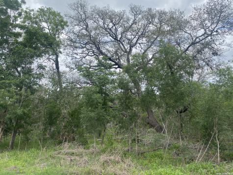 10.36 Acres New Sulphur Springs Road San Antonio TX 78263