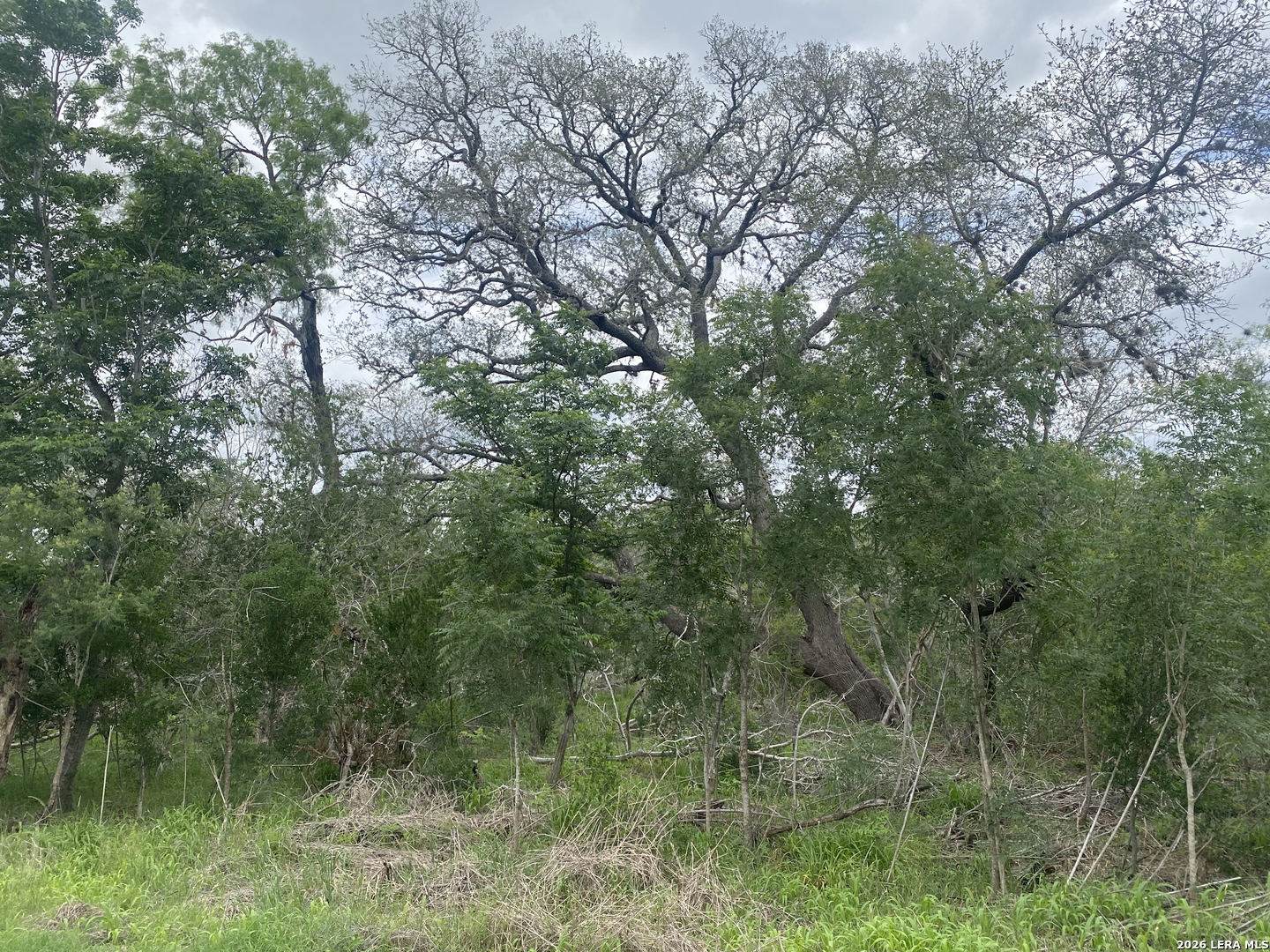 10.36 Acres New Sulphur Springs Road San Antonio TX 78263