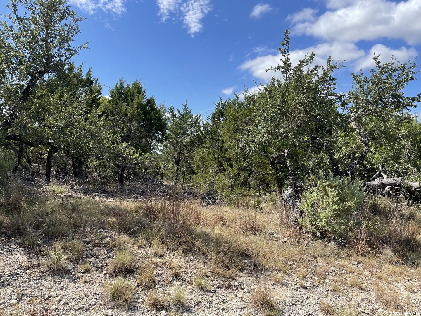 245 Bluebonnet Breeze Canyon Lake TX 78133