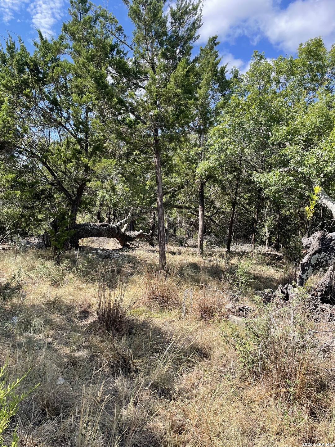 245 Bluebonnet Breeze Canyon Lake TX 78133