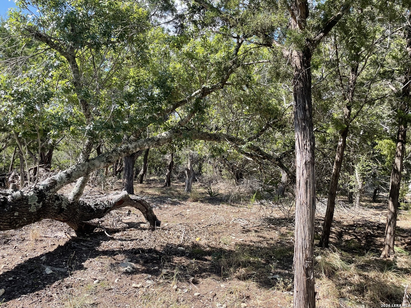 245 Bluebonnet Breeze Canyon Lake TX 78133