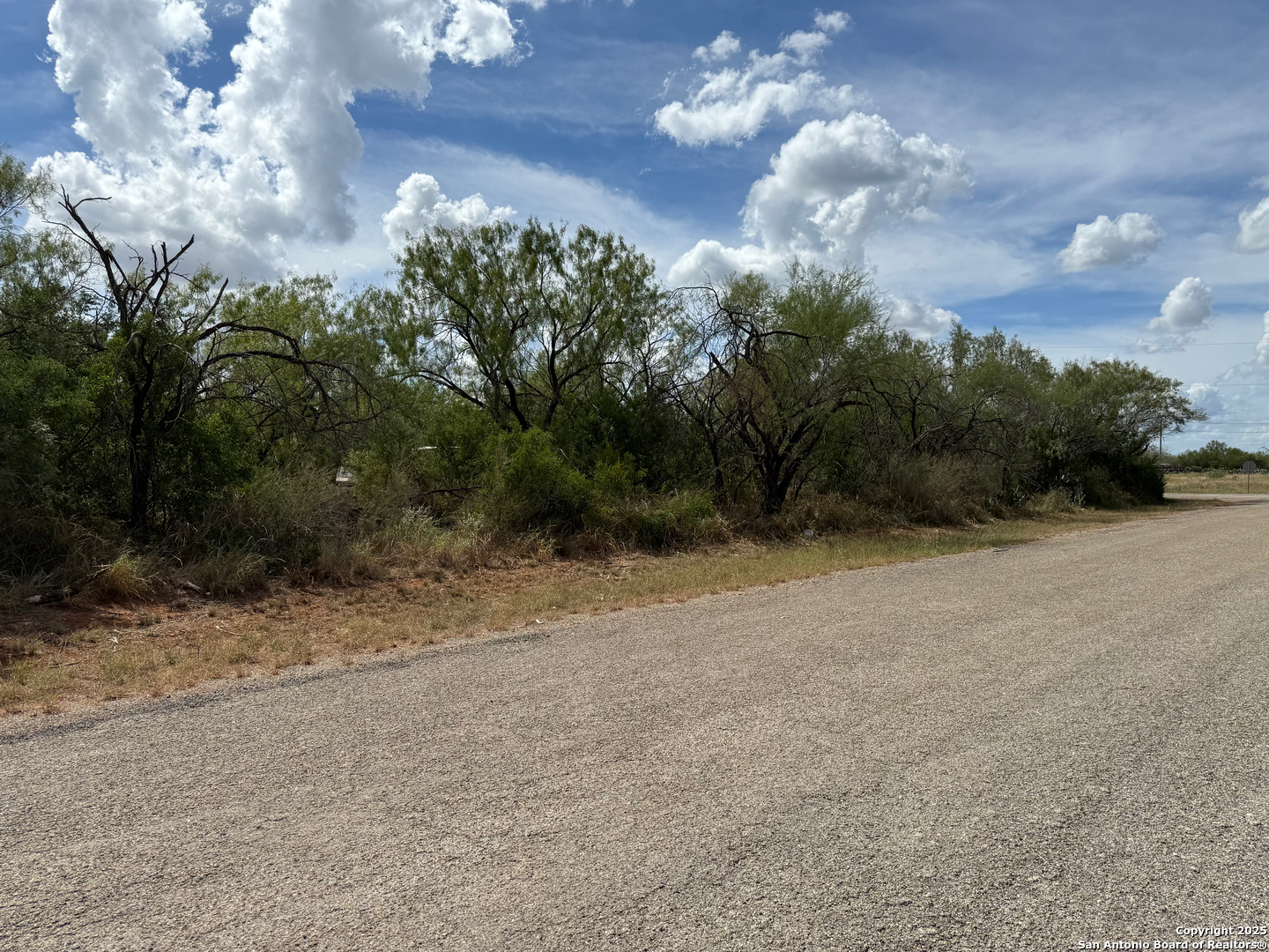 220 County Road 4401 Dilley TX 78017