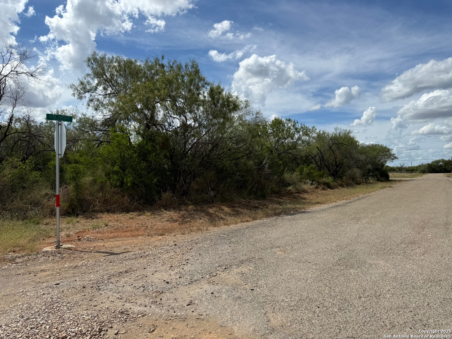 220 County Road 4401 Dilley TX 78017