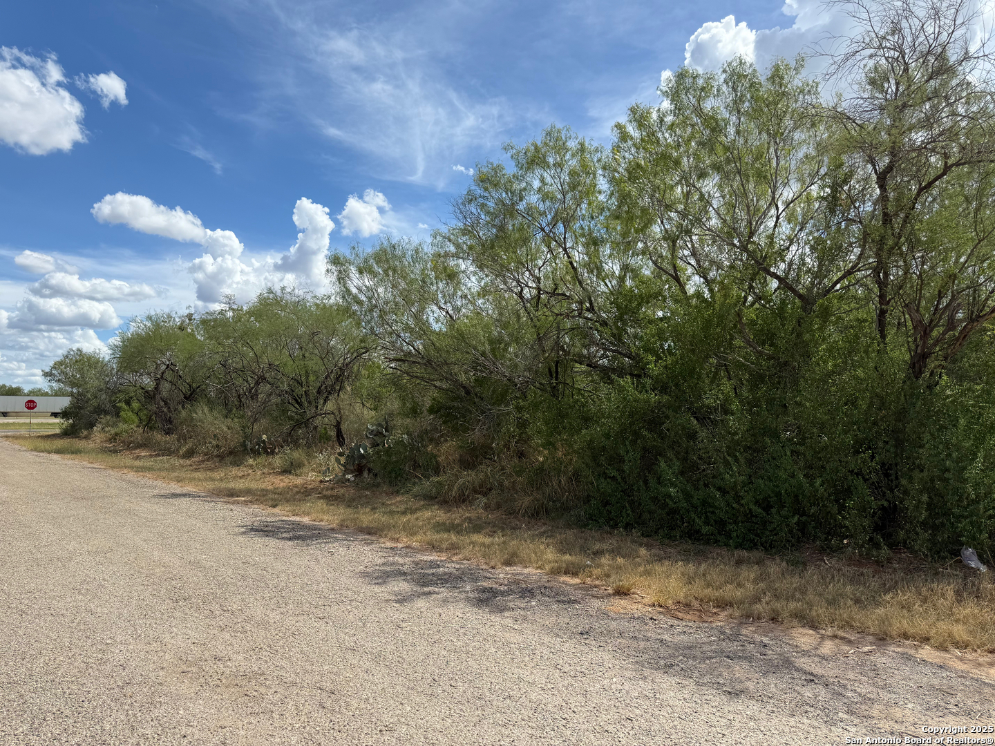 220 County Road 4401 Dilley TX 78017