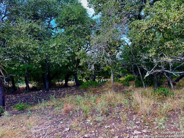 8423 Rochelle Road San Antonio TX 78240