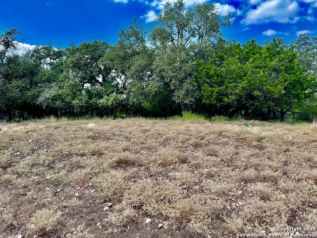 8423 Rochelle Road San Antonio TX 78240