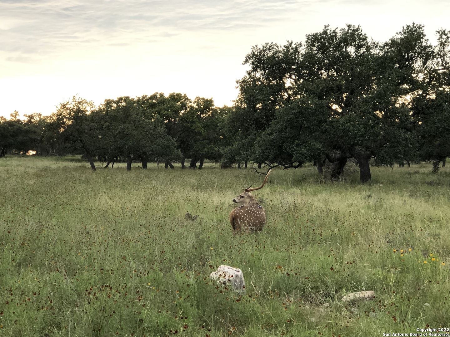 465 Watkins Road Mountain Home TX 78058