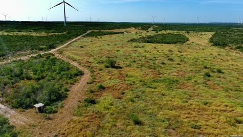 Tract 4 (56AC) San Pablo Road Tract 4 Bruni TX 78344