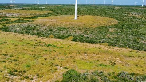 Tract 4 (56AC) San Pablo Road Tract 4 Bruni TX 78344