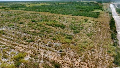 Tract 4 (56AC) San Pablo Road Tract 4 Bruni TX 78344