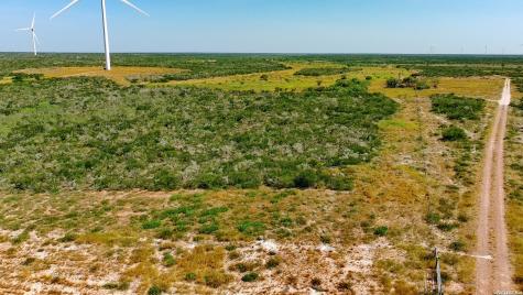 Tract 4 (56AC) San Pablo Road Tract 4 Bruni TX 78344