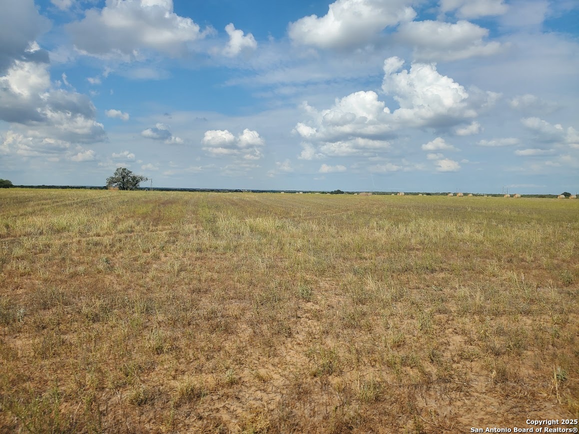 8035 County Road 2400 Moore TX 78057