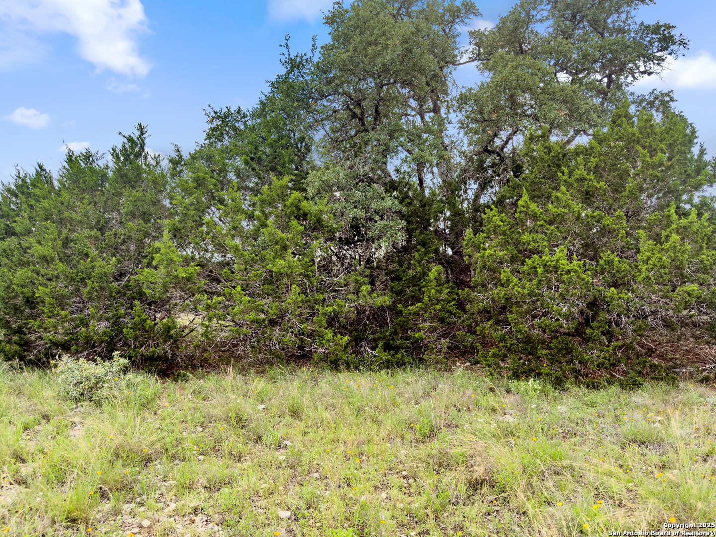 141 Vista View Place Spring Branch TX 78070