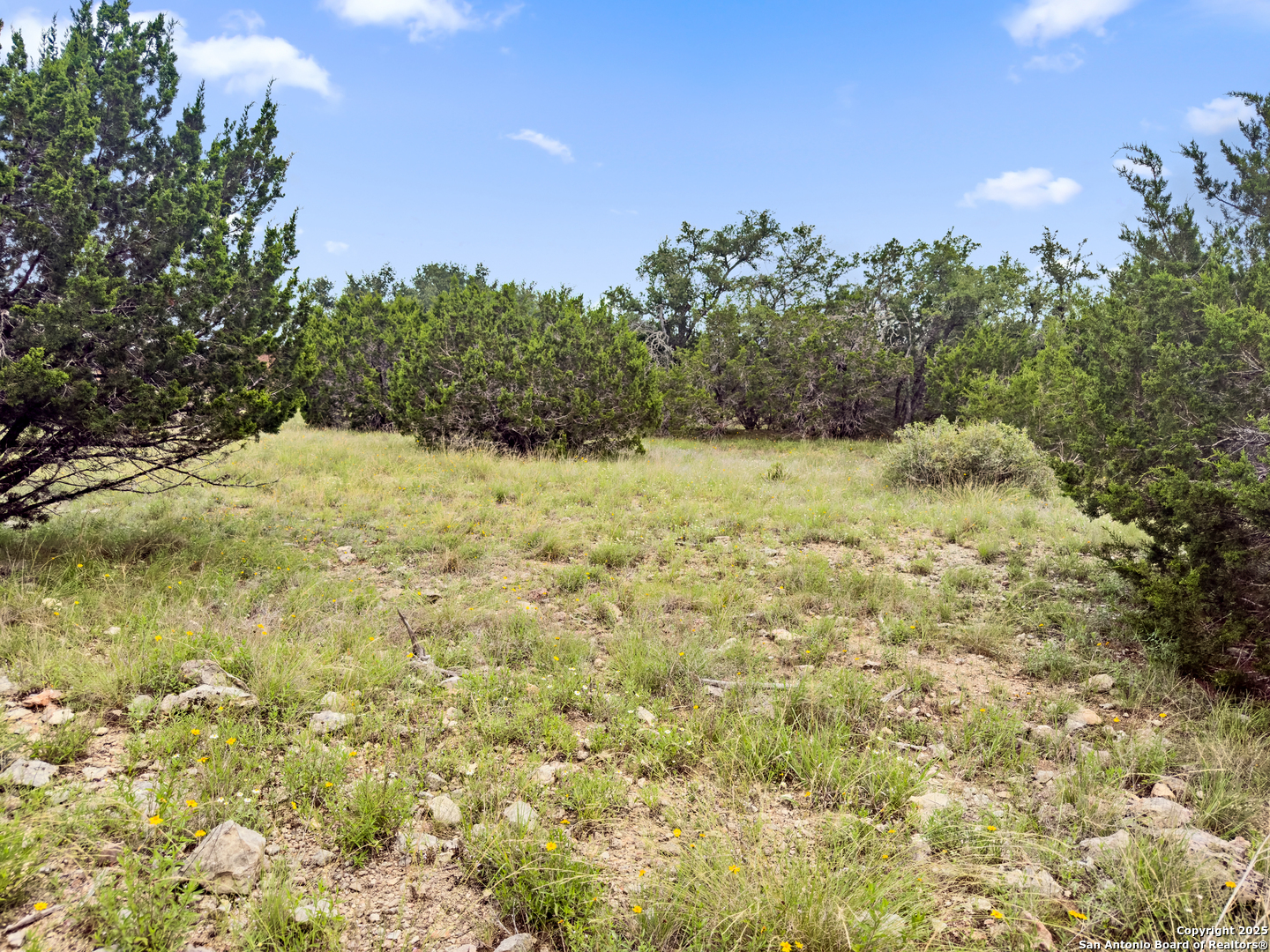 141 Vista View Place Spring Branch TX 78070