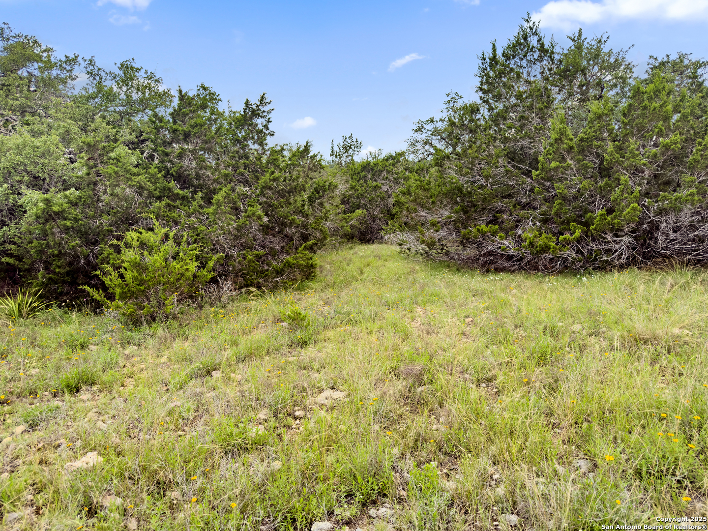141 Vista View Place Spring Branch TX 78070