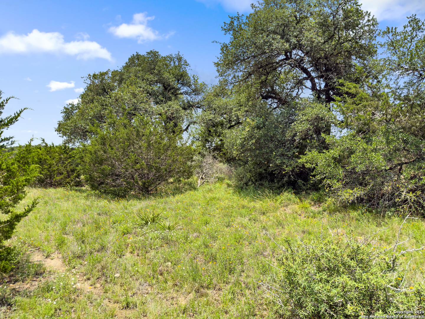 141 Vista View Place Spring Branch TX 78070