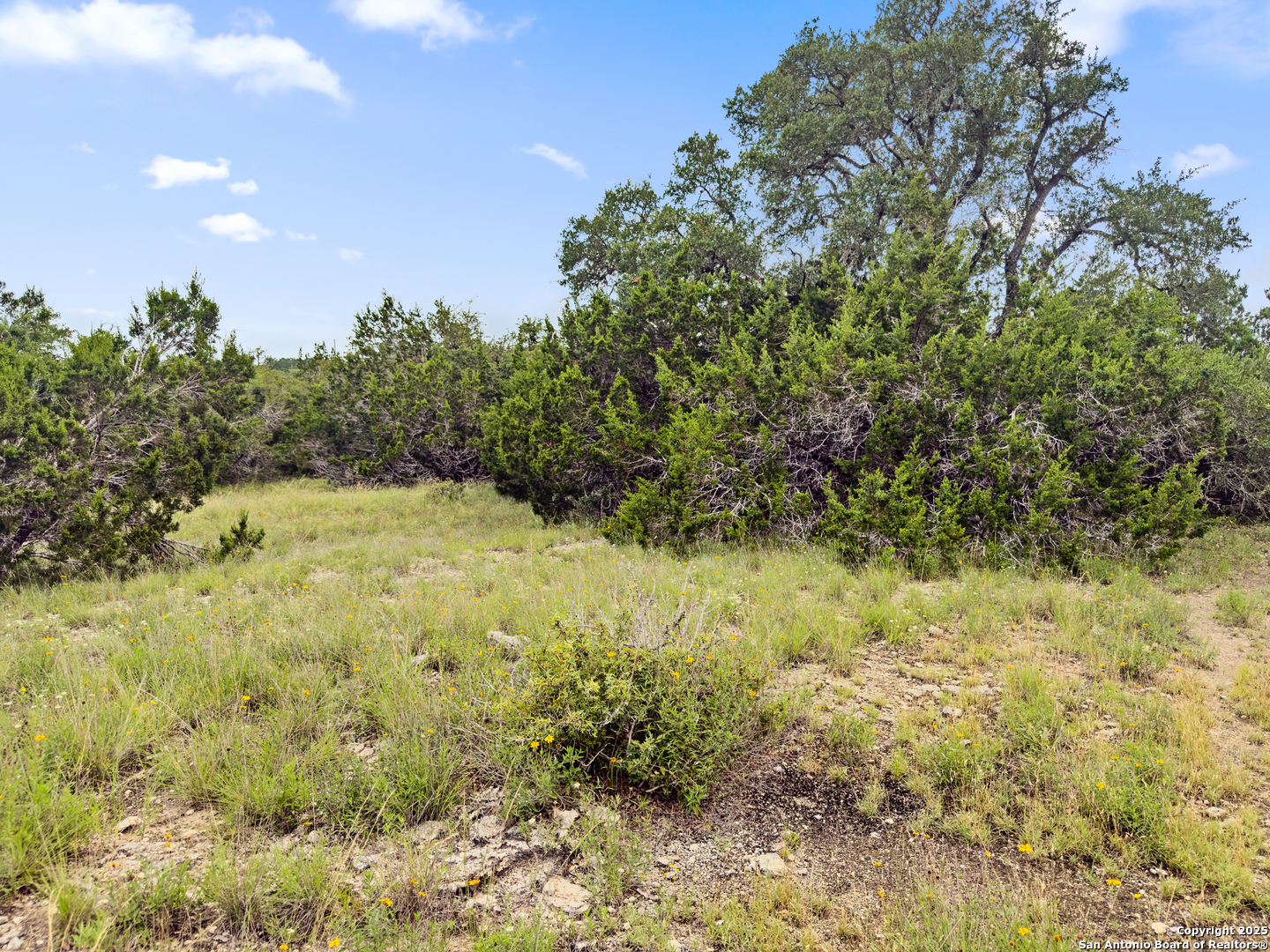 141 Vista View Place Spring Branch TX 78070