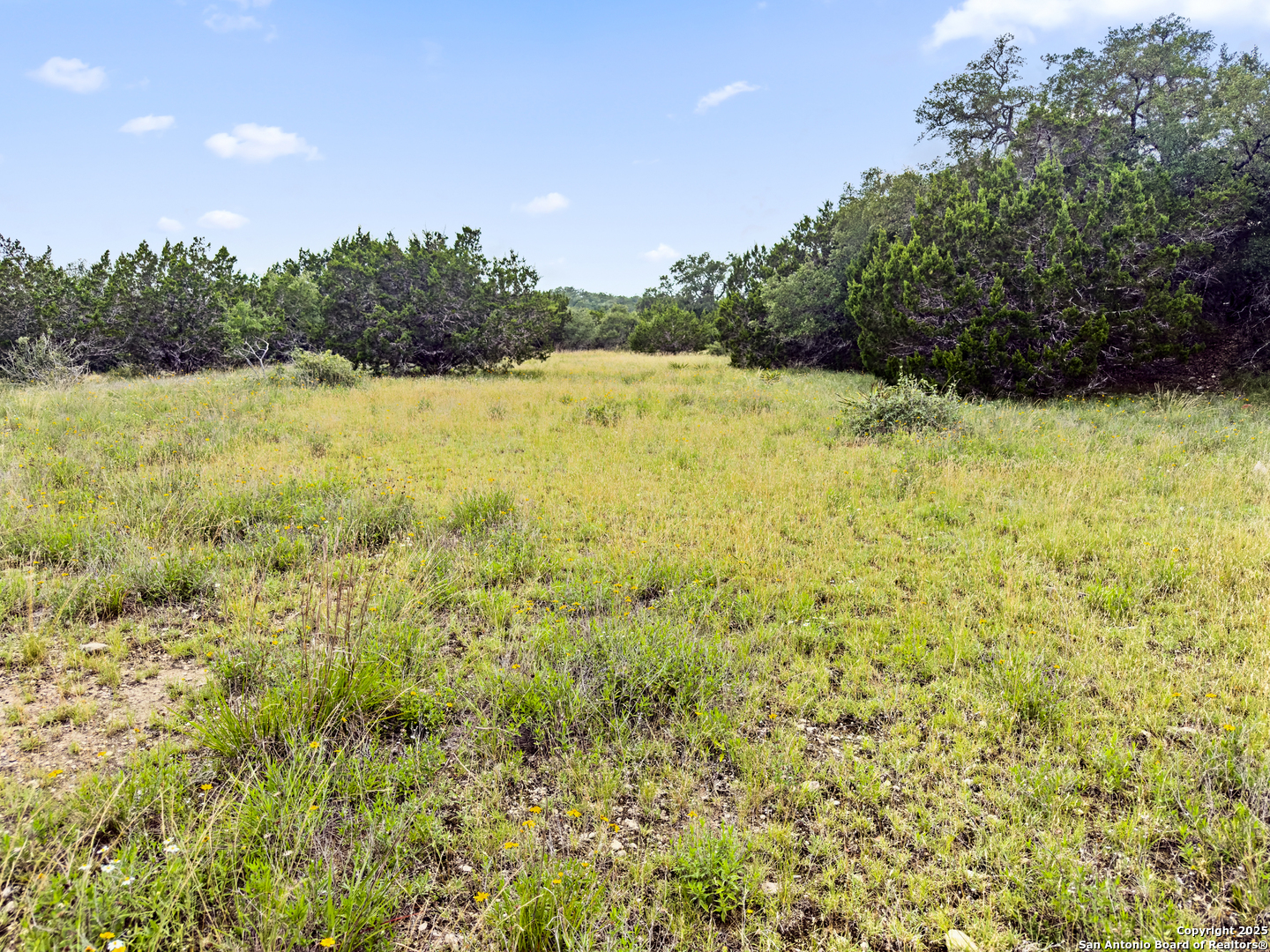 141 Vista View Place Spring Branch TX 78070