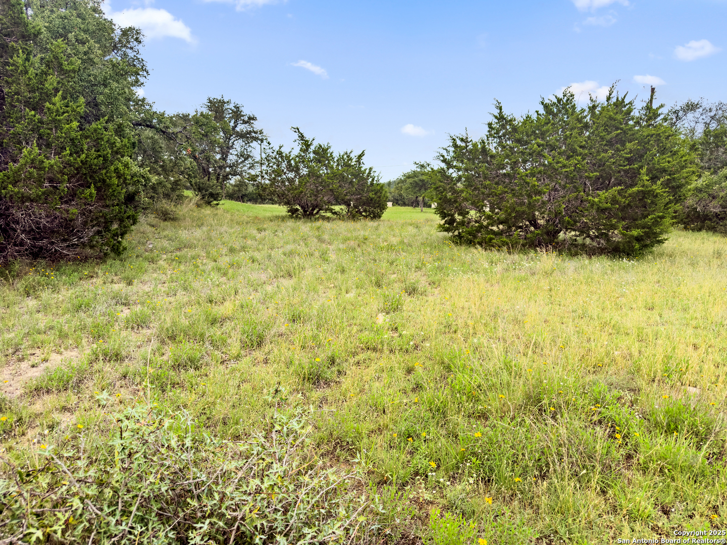 141 Vista View Place Spring Branch TX 78070