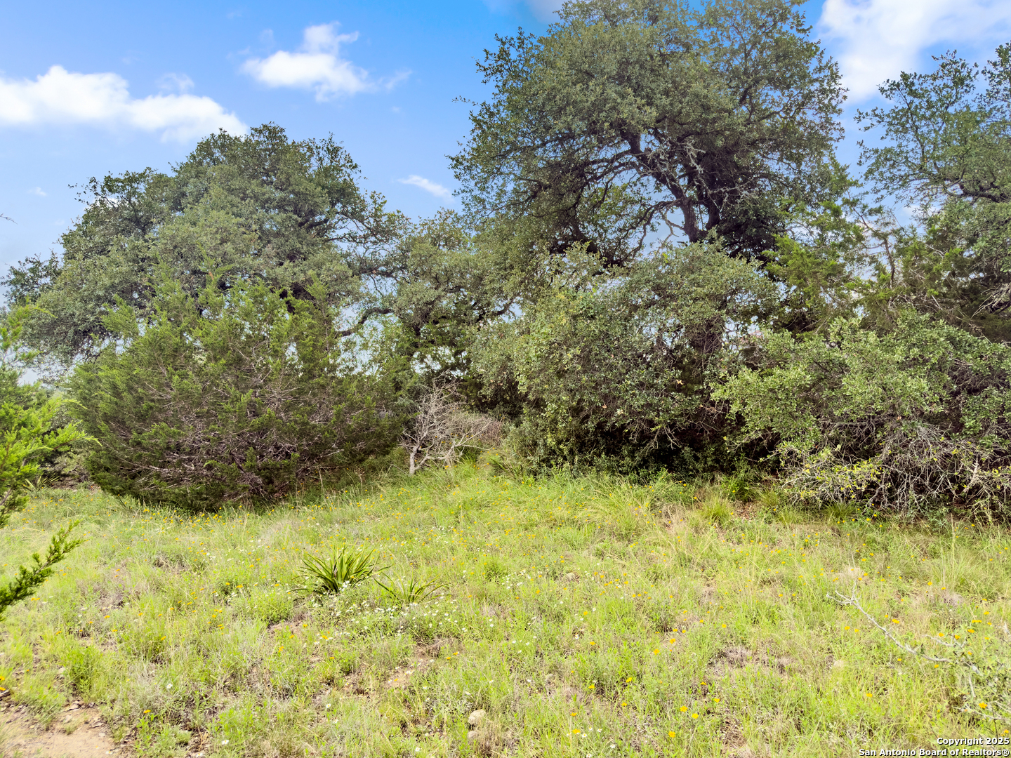 141 Vista View Place Spring Branch TX 78070