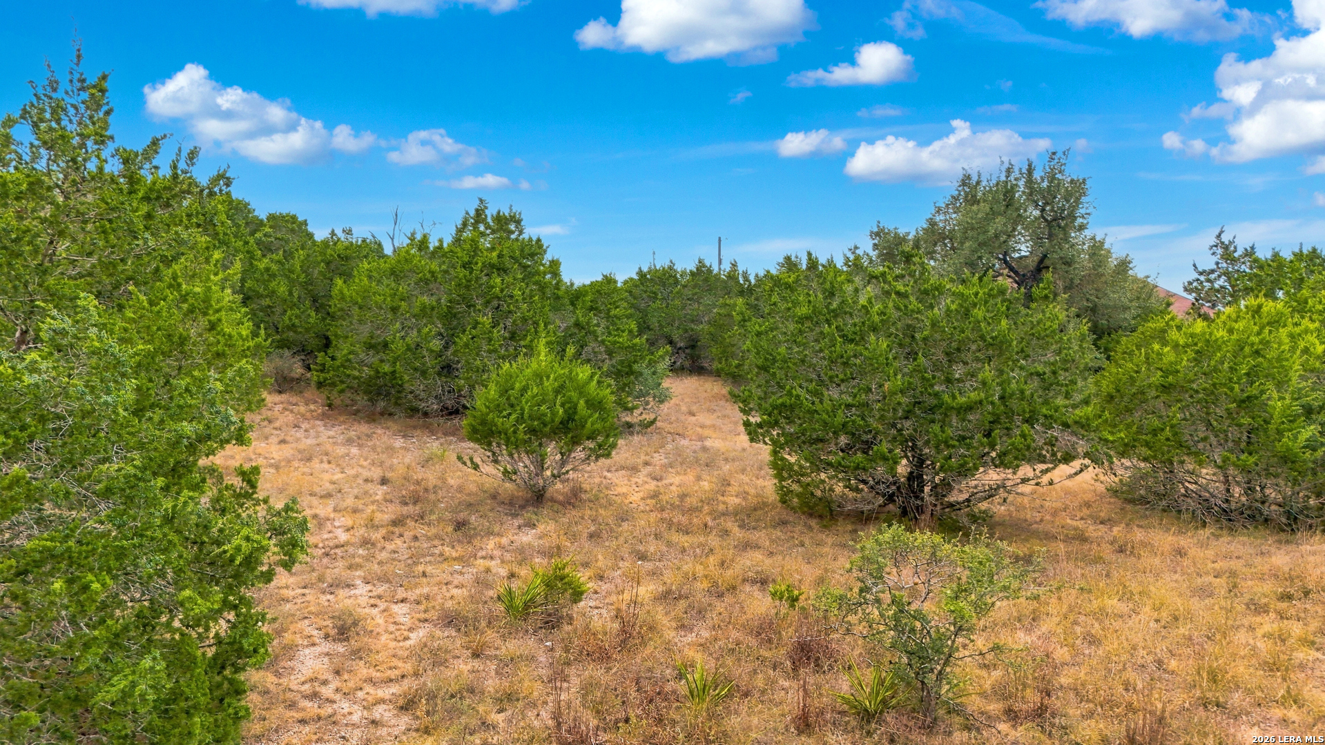 336 Lily Street Spring Branch TX 78070