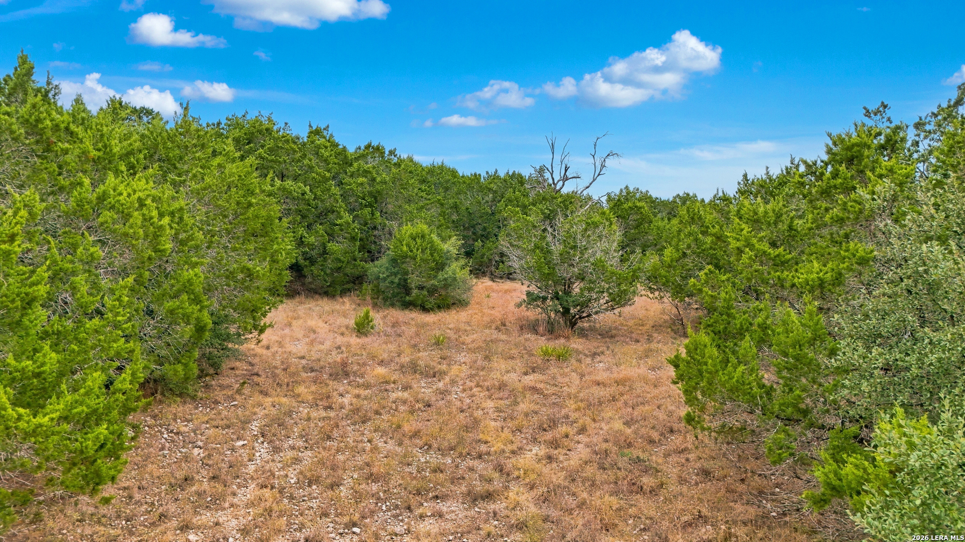 336 Lily Street Spring Branch TX 78070