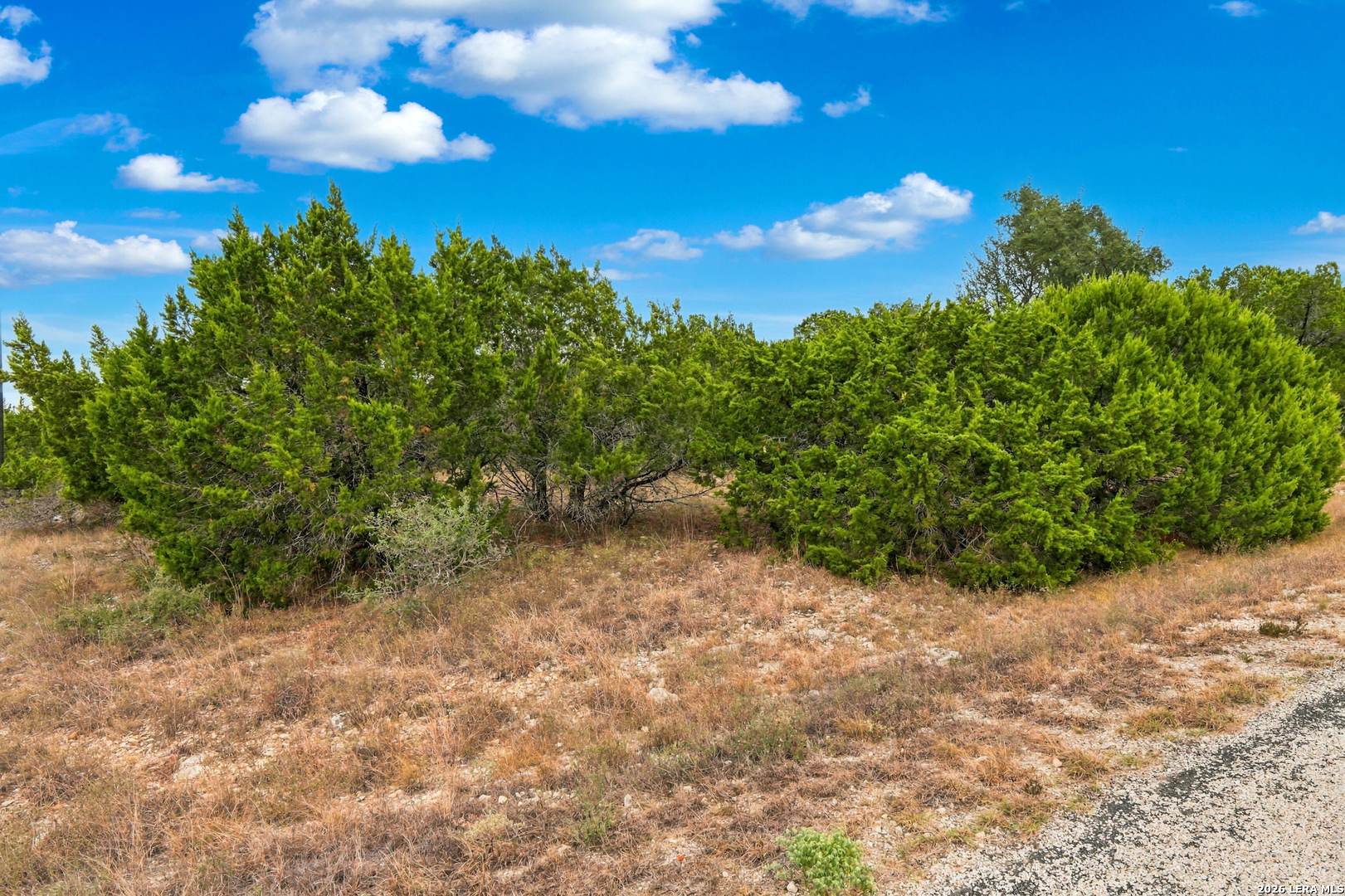 336 Lily Street Spring Branch TX 78070