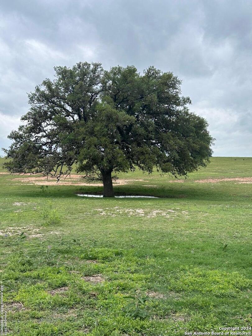 Tbd (TR 5) W Gates Valley Road Poteet TX 78065