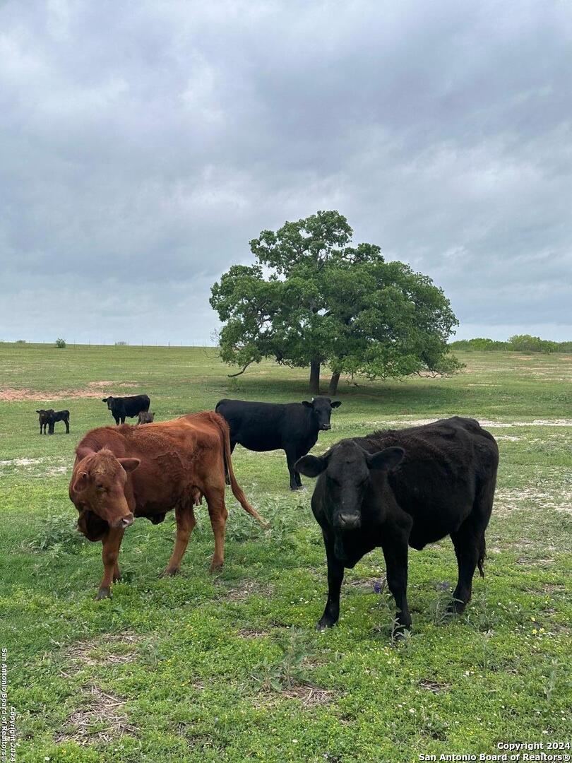 Tbd (TR 5) W Gates Valley Road Poteet TX 78065