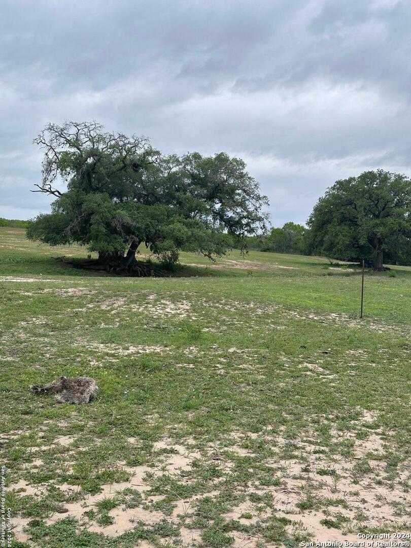 Tbd (TR 5) W Gates Valley Road Poteet TX 78065