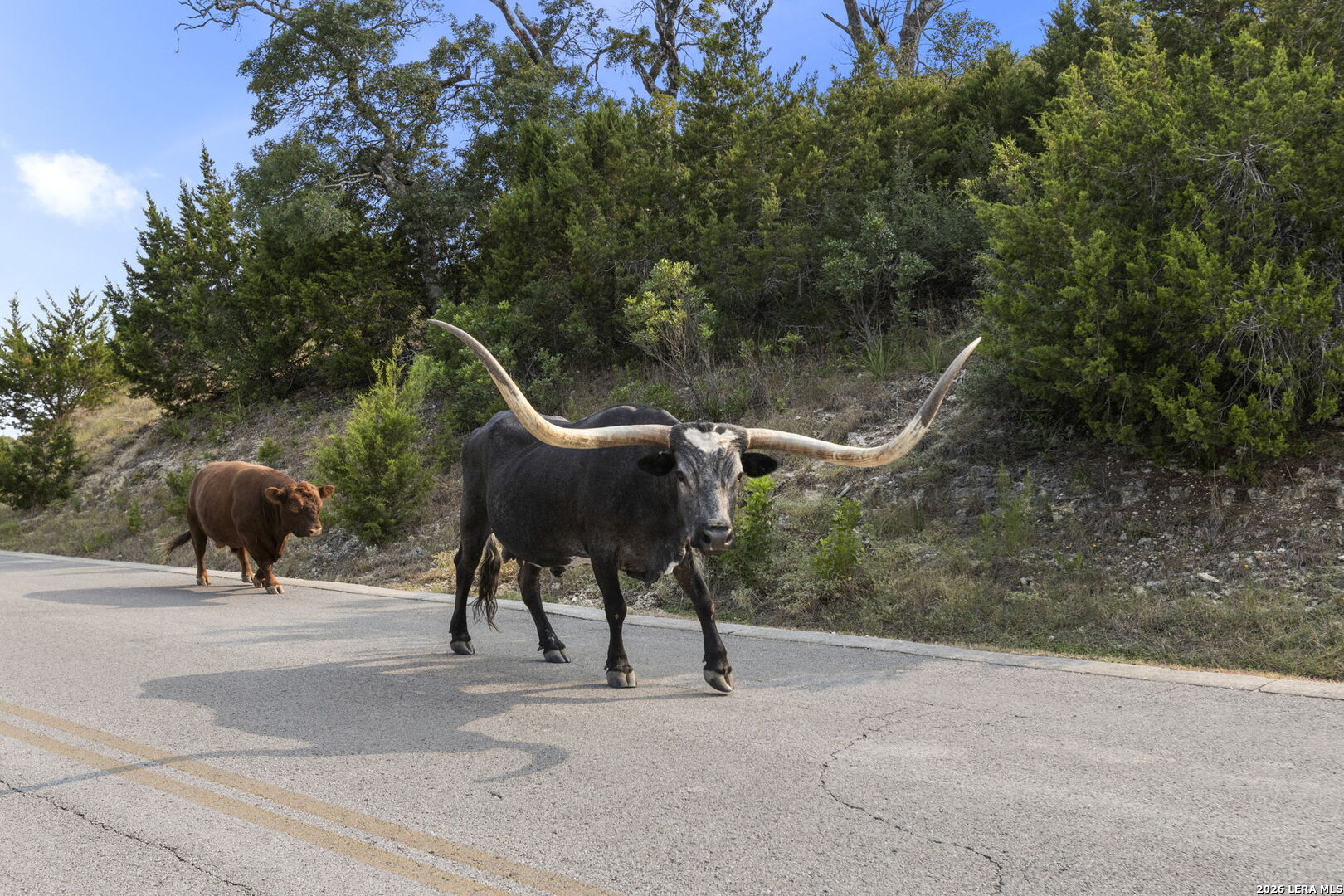Lot 43 Estancia Lane Boerne TX 78006