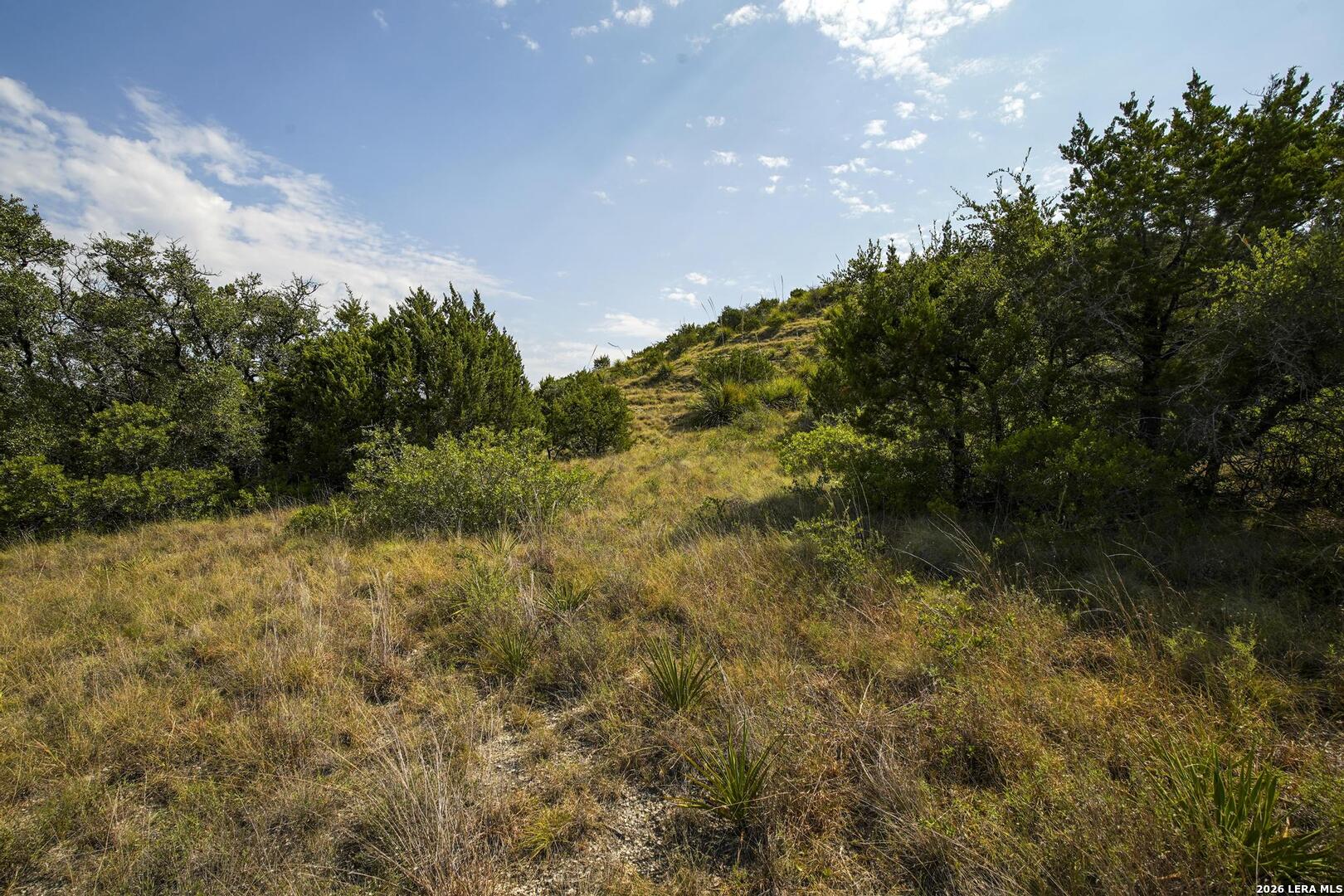 23330 Cawley Run San Antonio TX 78255