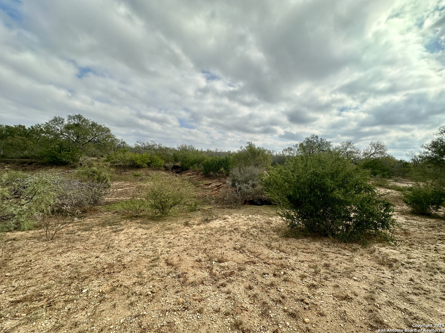 0 County Road 733 Moore TX 78057