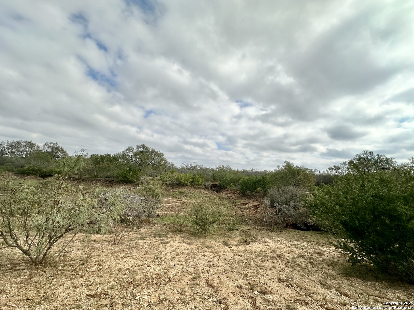 0 County Road 733 Moore TX 78057