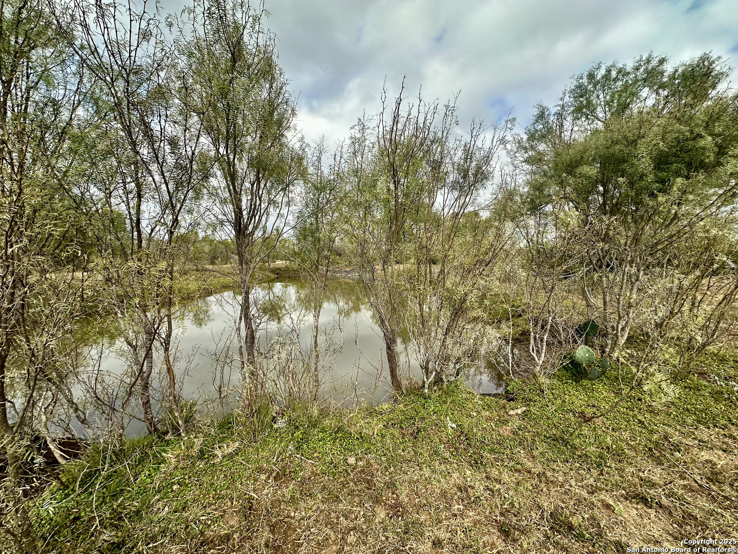 0 County Road 733 Moore TX 78057