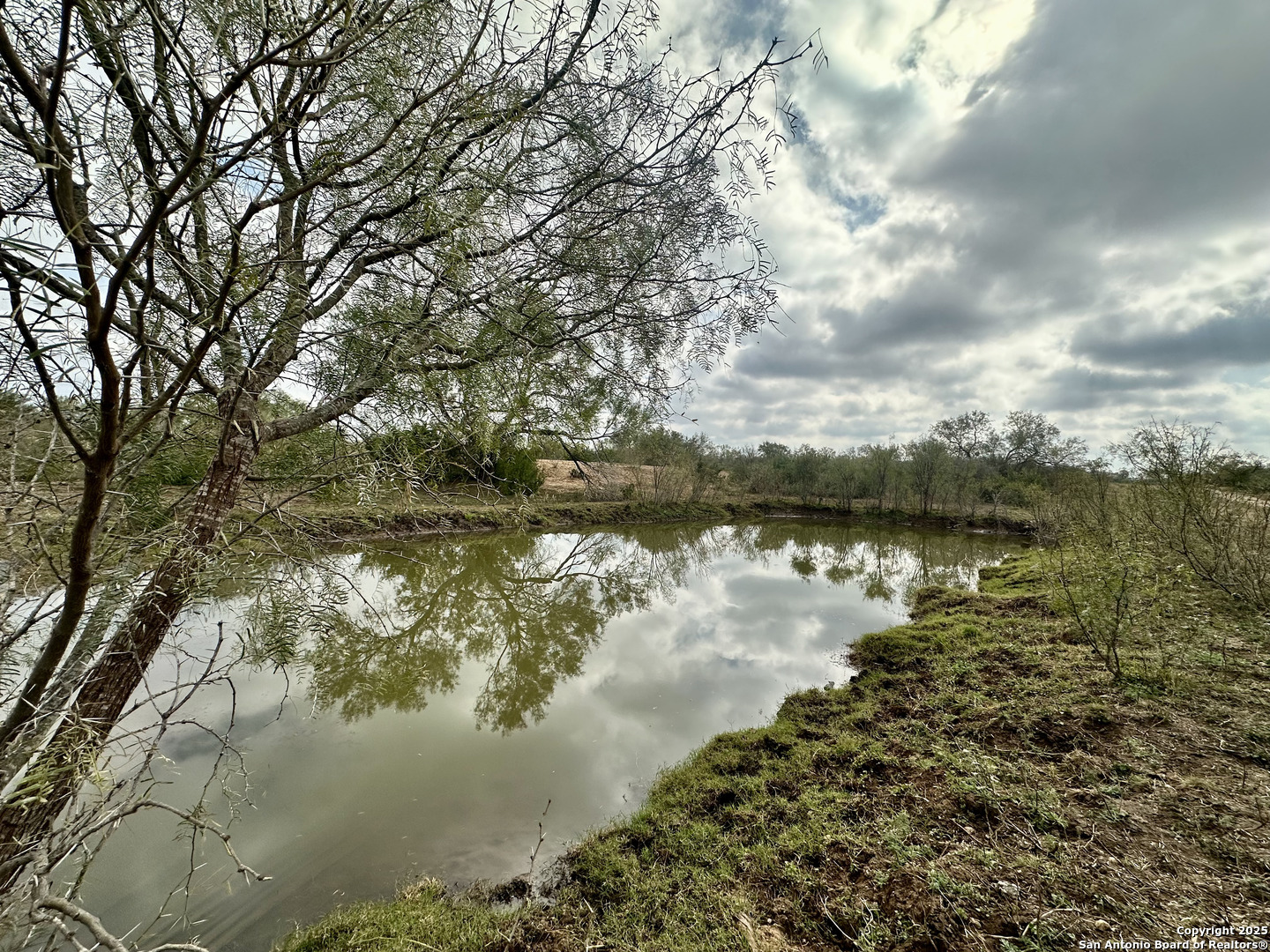 0 County Road 733 Moore TX 78057