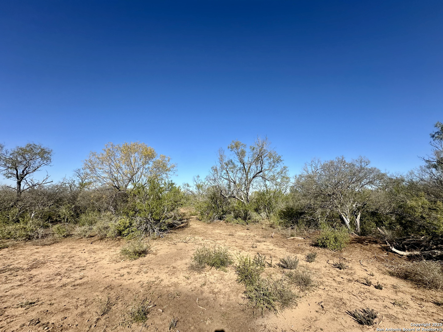 0 County Road 733 Moore TX 78057