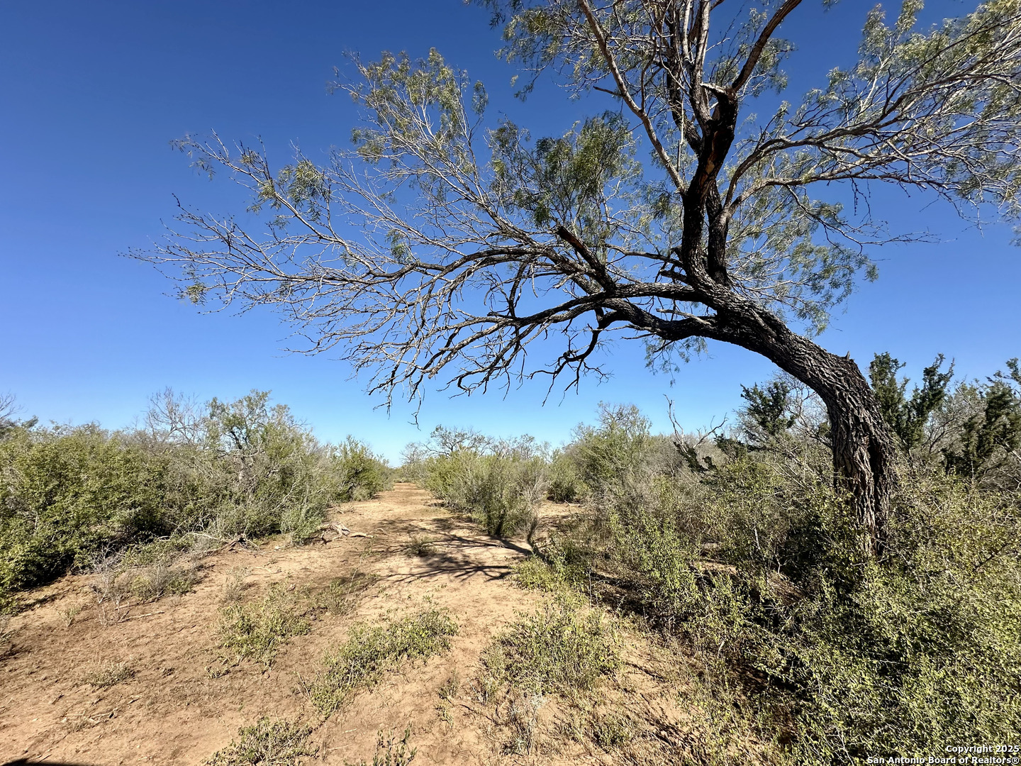 0 County Road 733 Moore TX 78057
