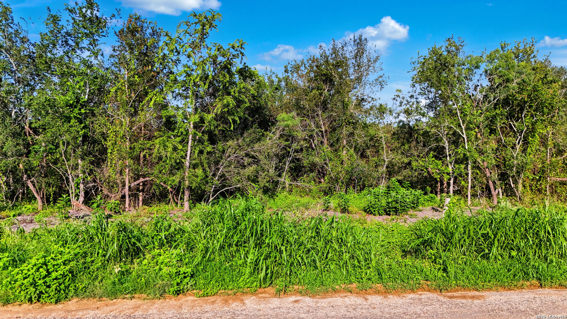 565 Marrou Road (Lot 5) Seguin TX 78155
