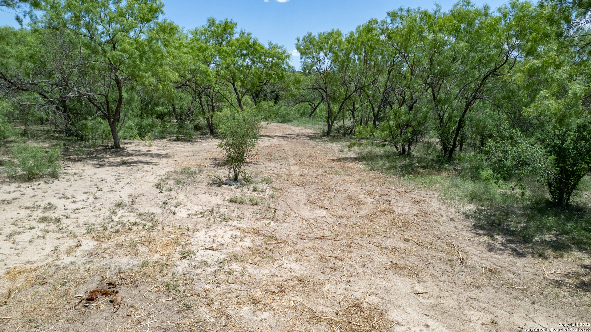 405 Ridge Loop Rio Frio TX 78879