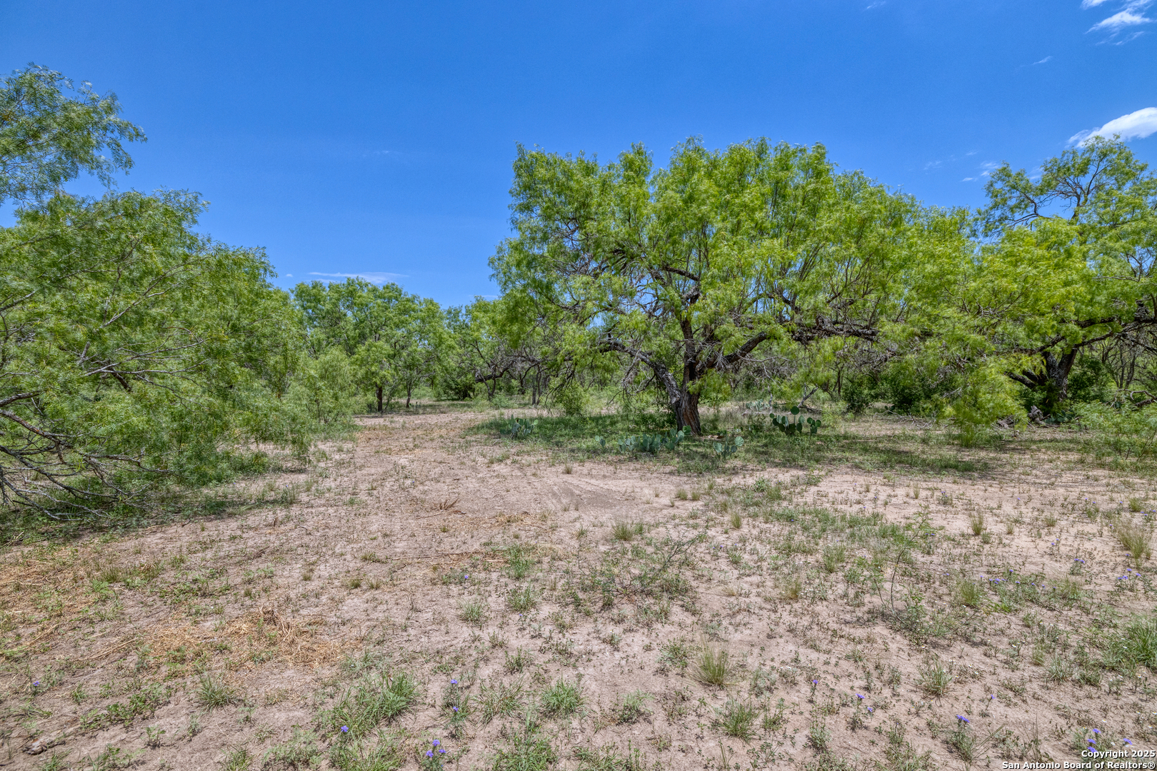 405 Ridge Loop Rio Frio TX 78879