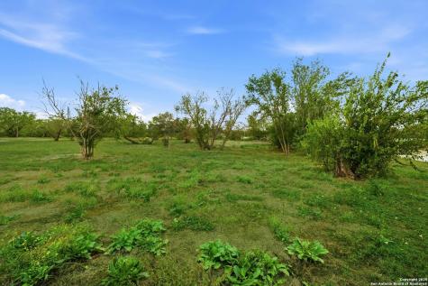 2426 Betty Jean San Antonio TX 78223