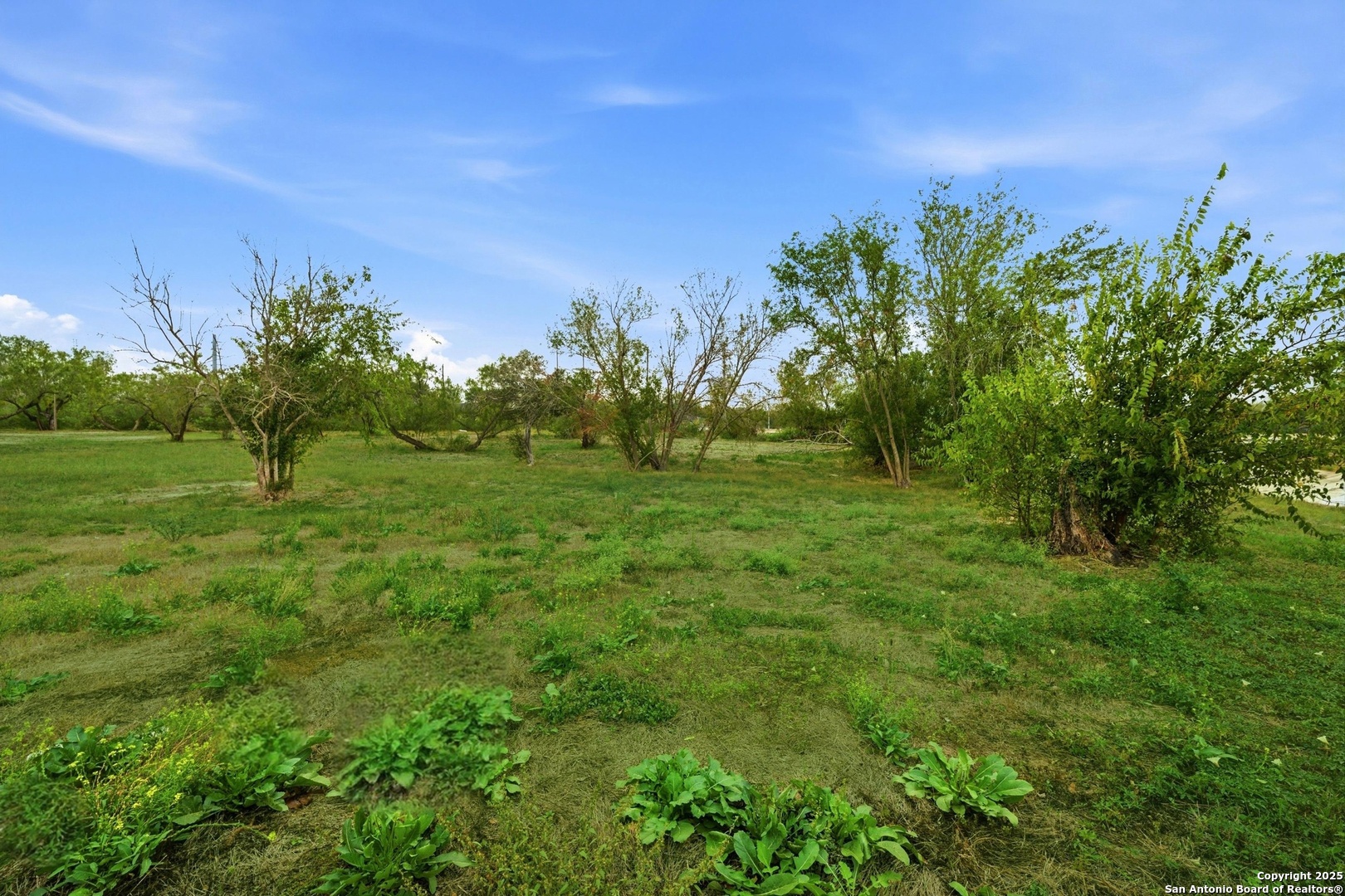2426 Betty Jean San Antonio TX 78223