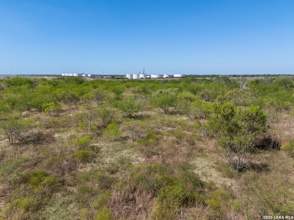 600 County Road 483 Nixon TX 78140