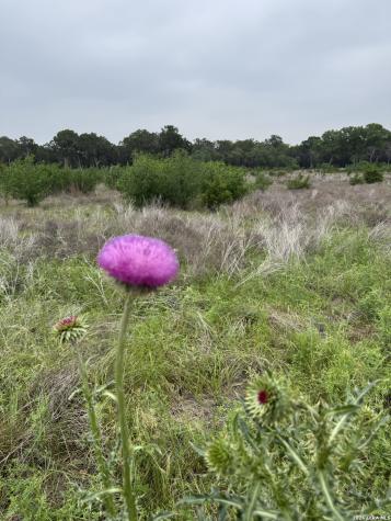 Lot 52 Clearwater Canyon Road Bandera TX 78003
