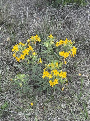 Lot 52 Clearwater Canyon Road Bandera TX 78003